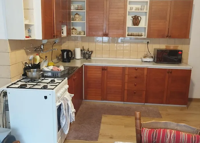 Zeleny Dom 度假居 布雷兹诺