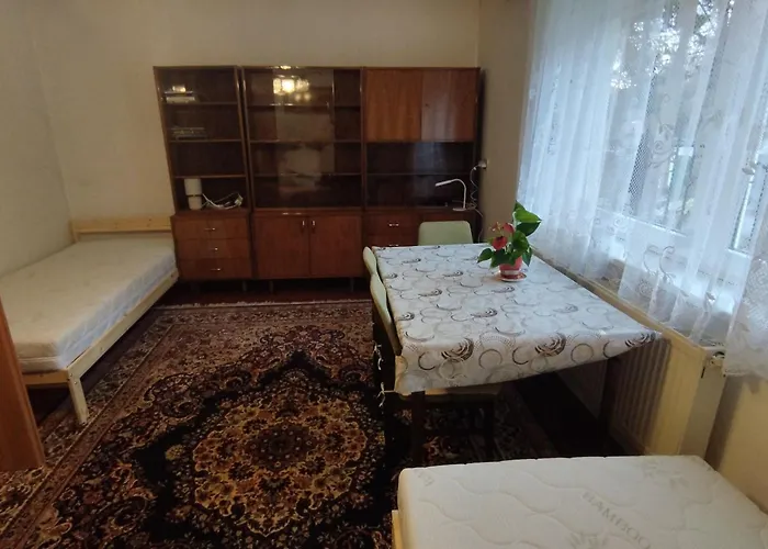 Zeleny Dom 布雷兹诺